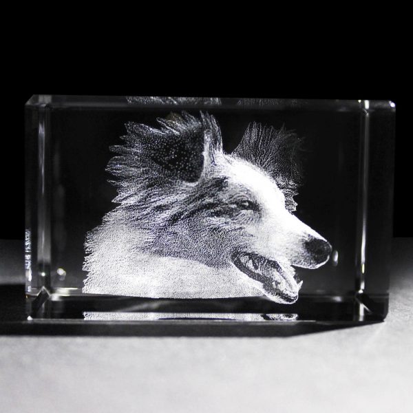 Pet Rectangle Crystal